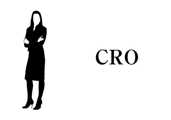 Cro 特定派遣のcraと受託型のcra どちらが良いか 臨床開発 はるきちのブログ